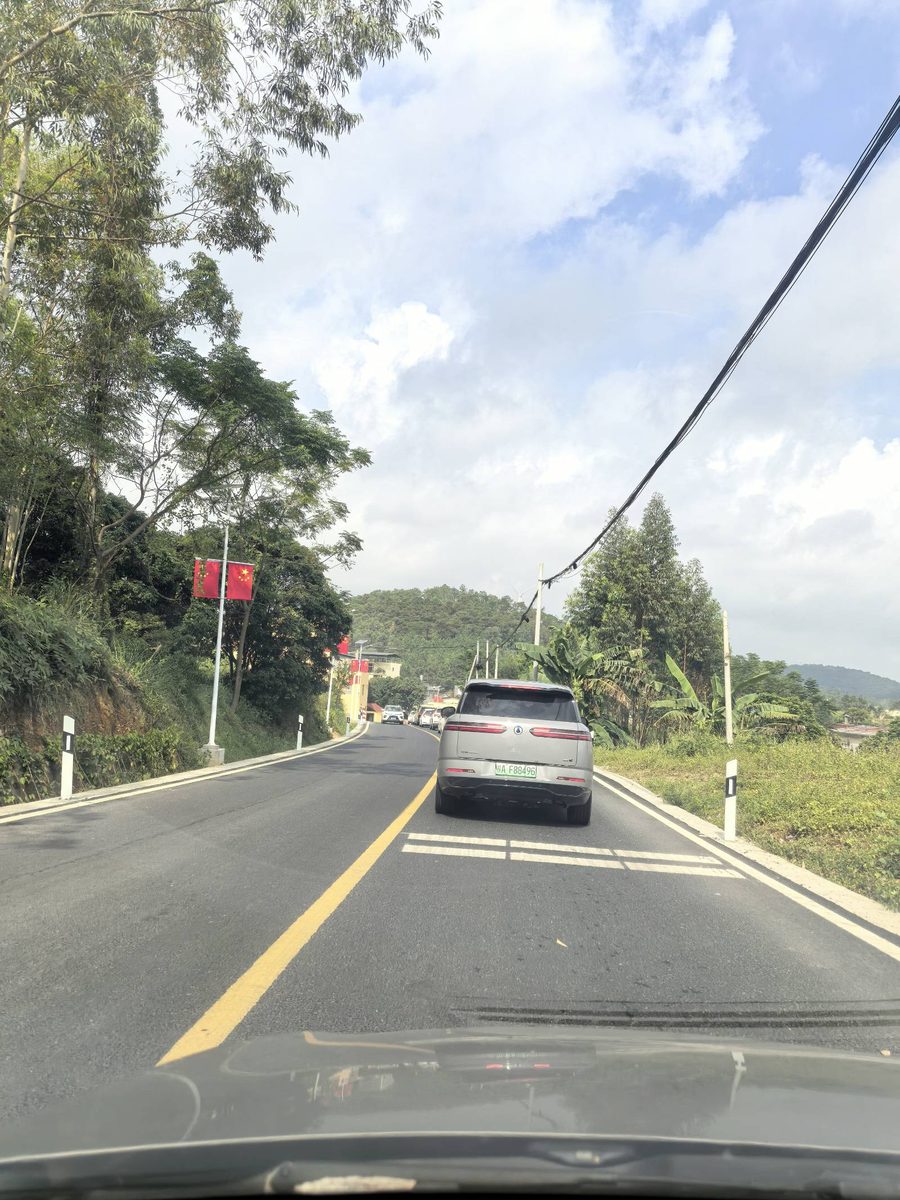 通往马道枢纽的乡道，路边挂着国旗